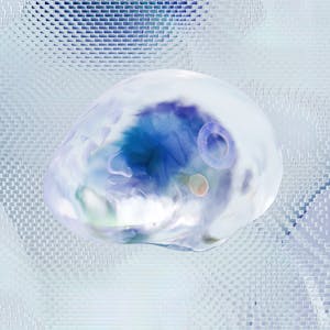 pexels-photo-17483869