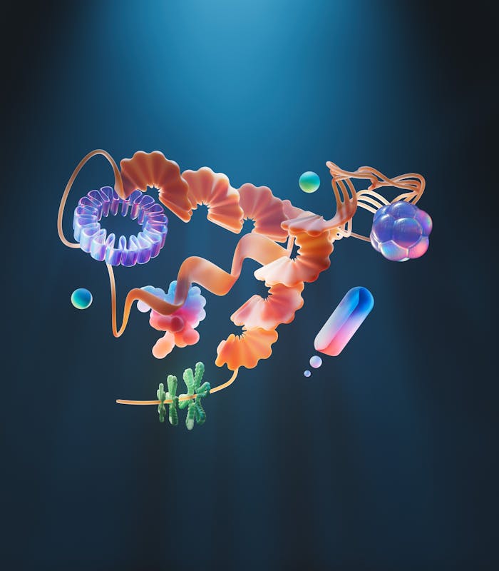 pexels-photo-25626587