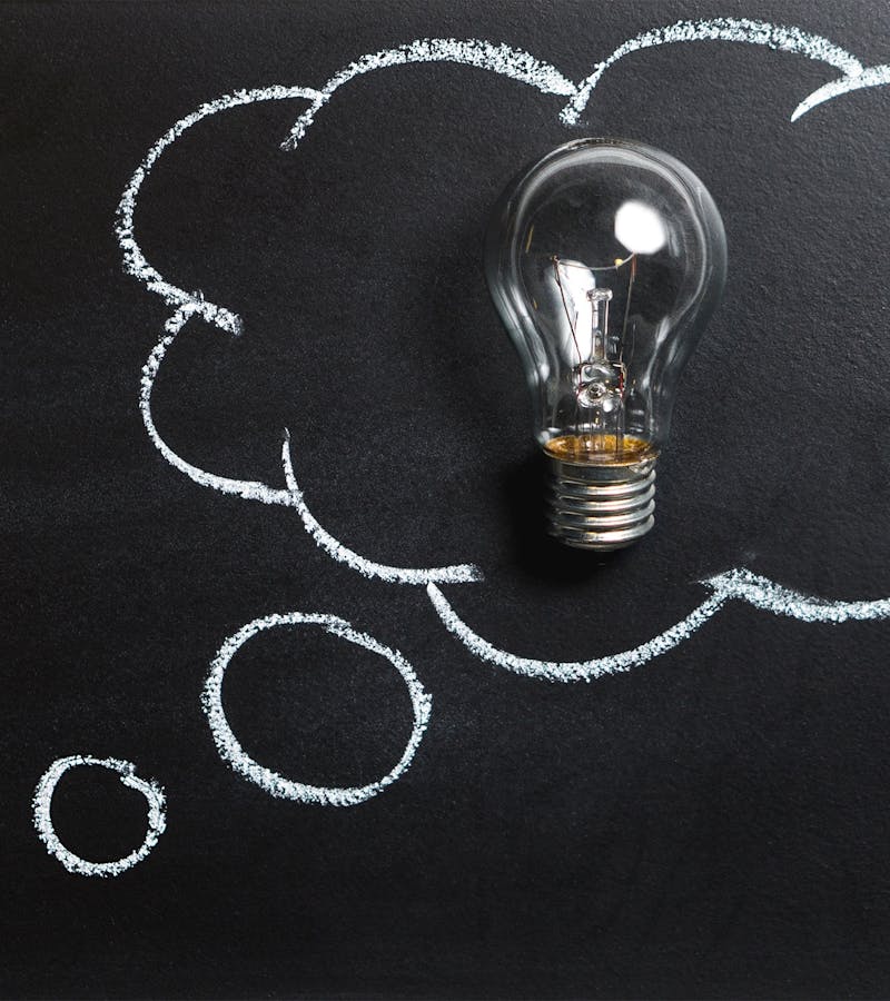 pexels-photo-355952-1